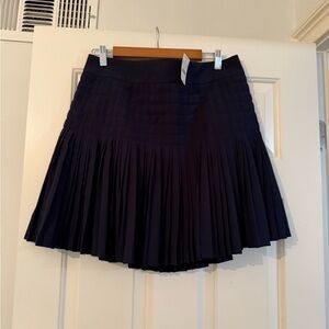 J. Crew Dark Blue Pleated Skater Skirt
